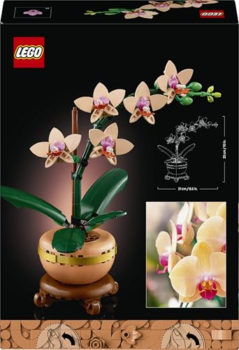 LEGO Botanicals Mini-Orchidee - Set mit Kunstblumen für Erwachsene - Zimmerpflanze mit Blumentopf im Terrakotta-Stil - DIY Geschenkidee zum Geburtstag - 10343