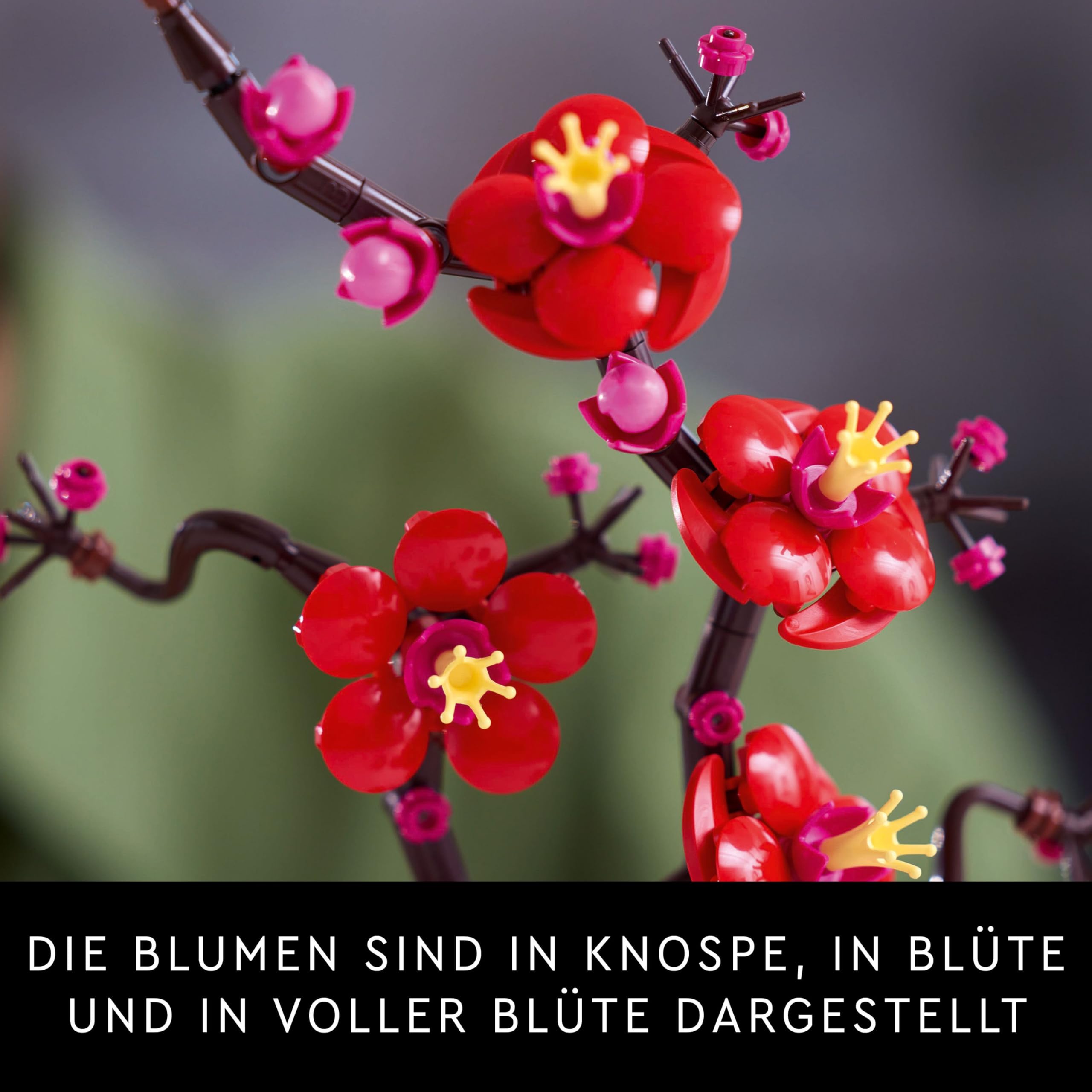 LEGO Botanicals Pflaumenblüte - Pflegeleichte Blumendeko aus der Botanik Kollektion - Kreatives Bauset für Erwachsene - Entspannende Aktivität - Künstliche Pflanze zum Sammeln 10369