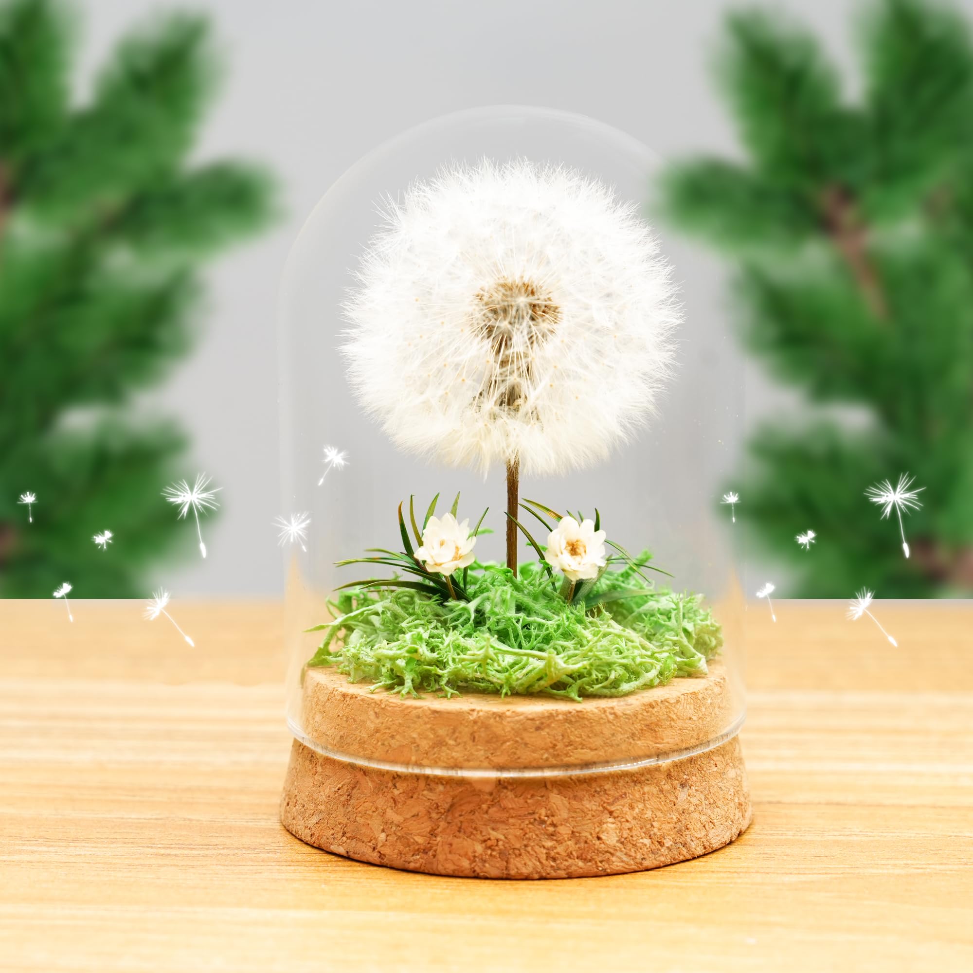 Wunscherfüller Pusteblume im Glas - Besondere Geschenkidee, Geburtstagsgeschenk für Frauen, Glücksbringer und Kleinigkeit für Freundin, Deko Geschenke im Glas, Blumen Geschenk
