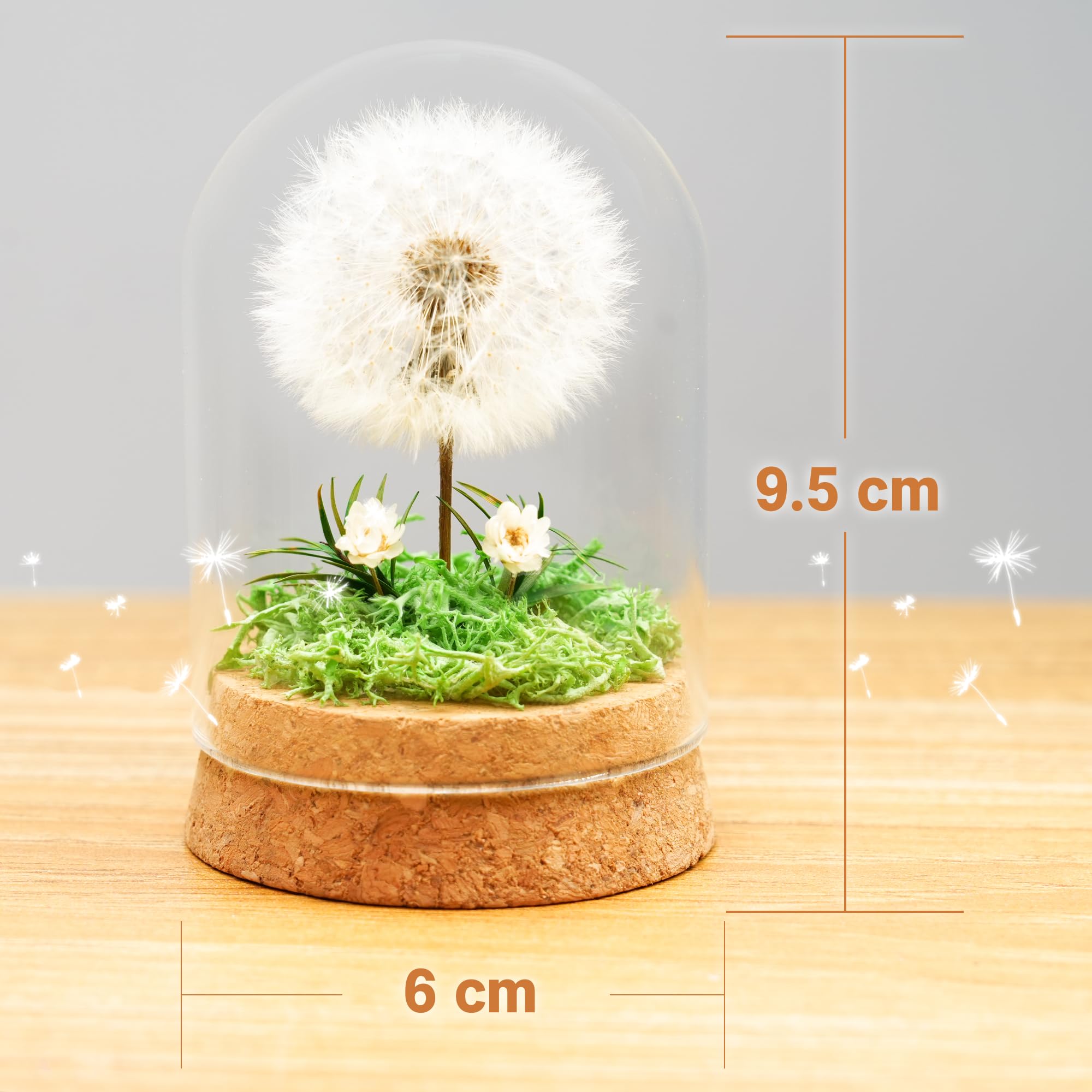 Wunscherfüller Pusteblume im Glas - Besondere Geschenkidee, Geburtstagsgeschenk für Frauen, Glücksbringer und Kleinigkeit für Freundin, Deko Geschenke im Glas, Blumen Geschenk