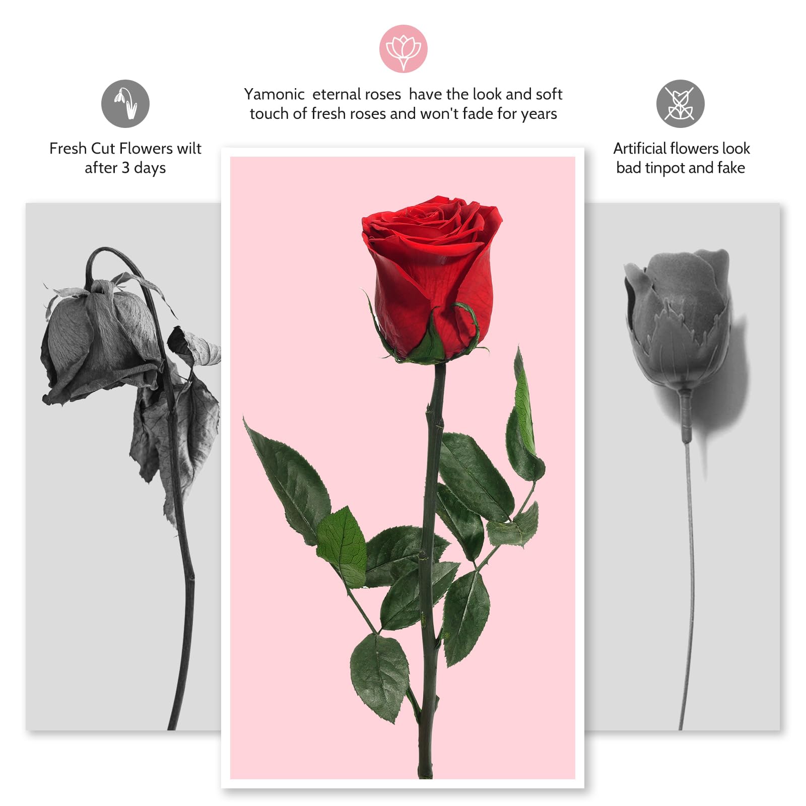 Yamonic Ewige Rose Geschenke für Frauen,Infinity Rose mit Stiel Valentinstagsgeschenk für Sie, Echte Rose in Geschenkbox Geburtstagsgeschenk Frauen,Konservierte Blumen Geschenk Valentinstag,Rote Rose