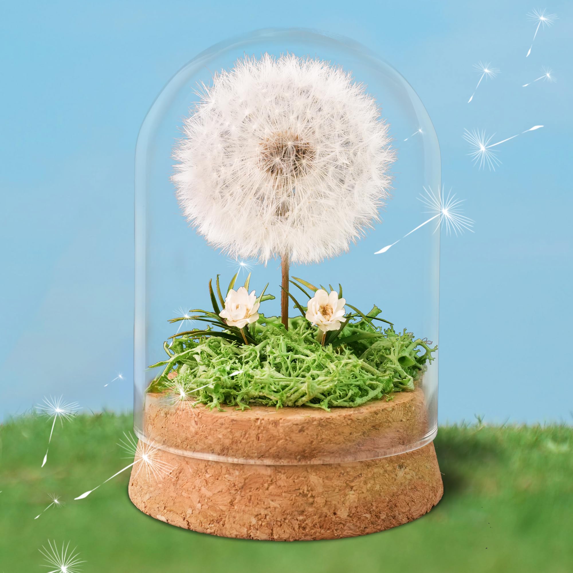 Wunscherfüller Pusteblume im Glas - Besondere Geschenkidee, Geburtstagsgeschenk für Frauen, Glücksbringer und Kleinigkeit für Freundin, Deko Geschenke im Glas, Blumen Geschenk