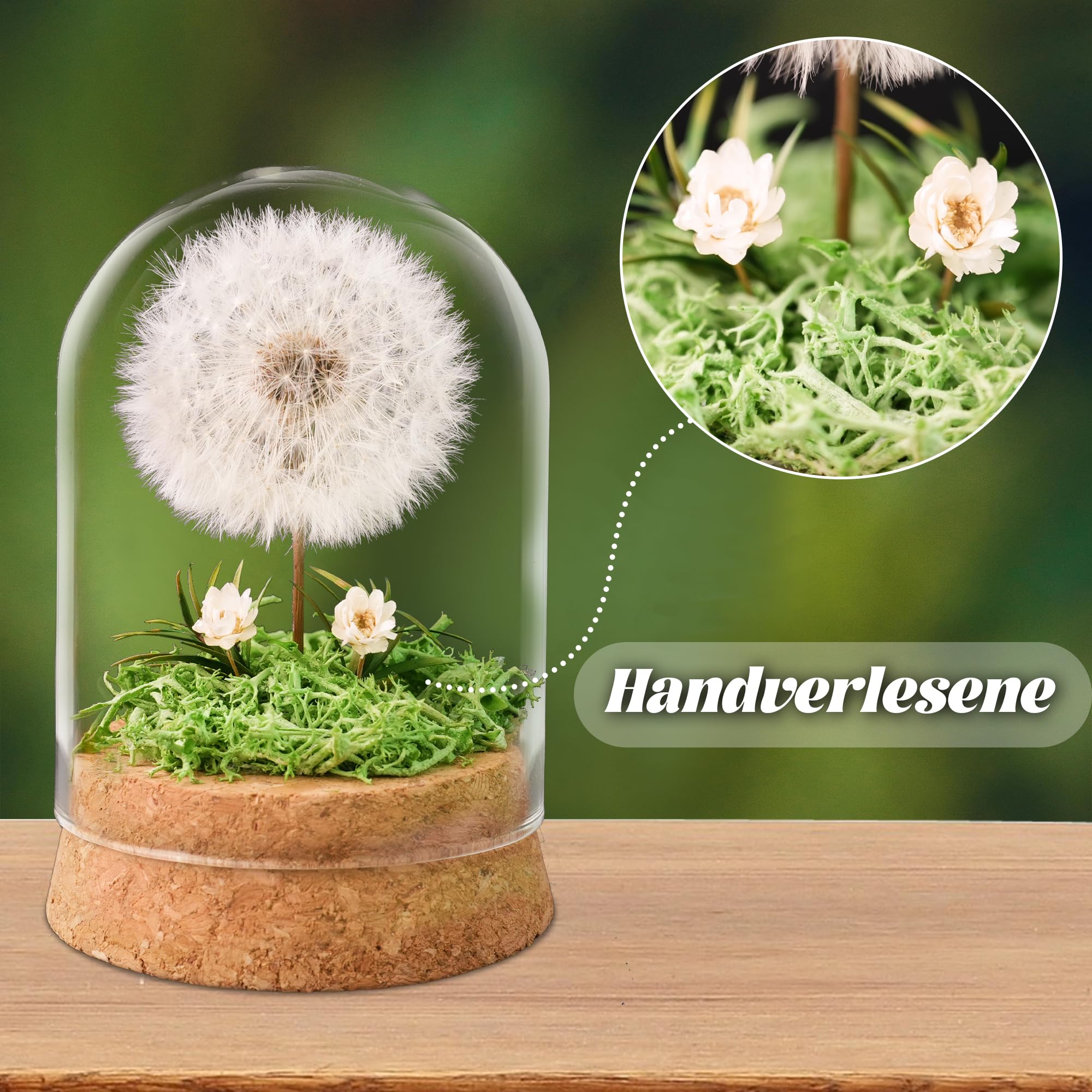 Wunscherfüller Pusteblume im Glas - Besondere Geschenkidee, Geburtstagsgeschenk für Frauen, Glücksbringer und Kleinigkeit für Freundin, Deko Geschenke im Glas, Blumen Geschenk