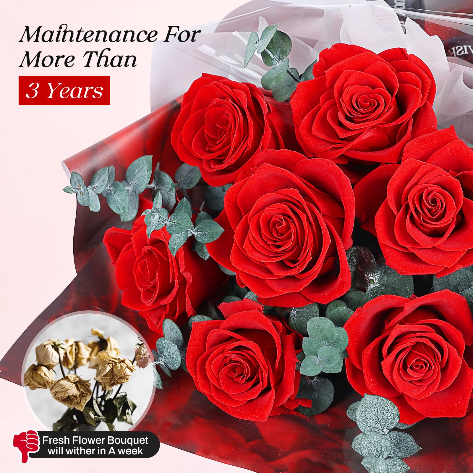 7 Rosenstrauß mit Vase, ewiger Blumenstrauß, echte konservierte rote Rosen, Jubiläums- & Geburtstagsgeschenk, Valentinstag Geschenke für sie, Geschenke für Frauen, Freundin, Ehefrau, Mama, Oma(Rot)