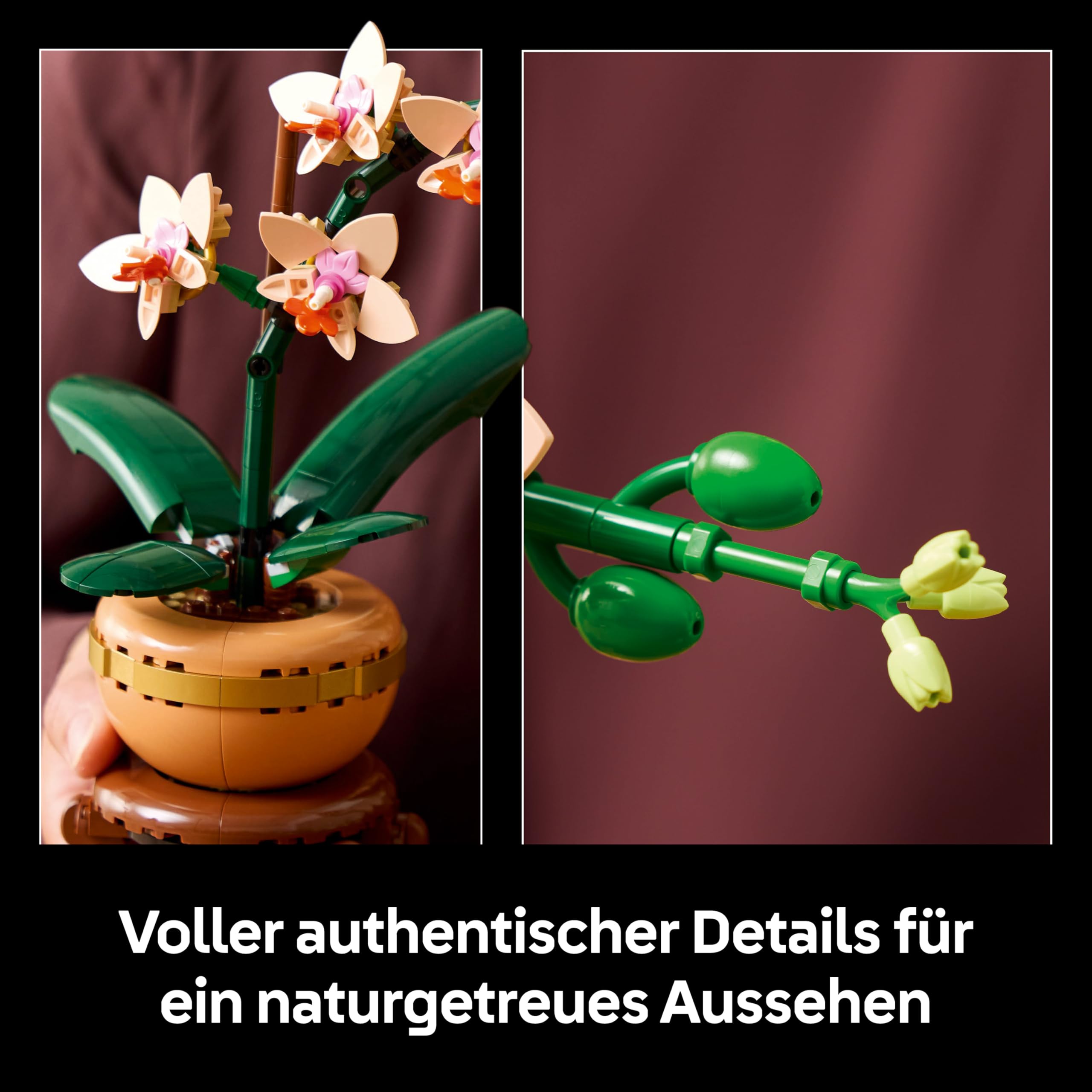 LEGO Botanicals Mini-Orchidee - Set mit Kunstblumen für Erwachsene - Zimmerpflanze mit Blumentopf im Terrakotta-Stil - DIY Geschenkidee zum Geburtstag - 10343
